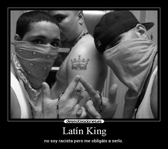 Latín King - no soy racista pero me obligáis a serlo. 