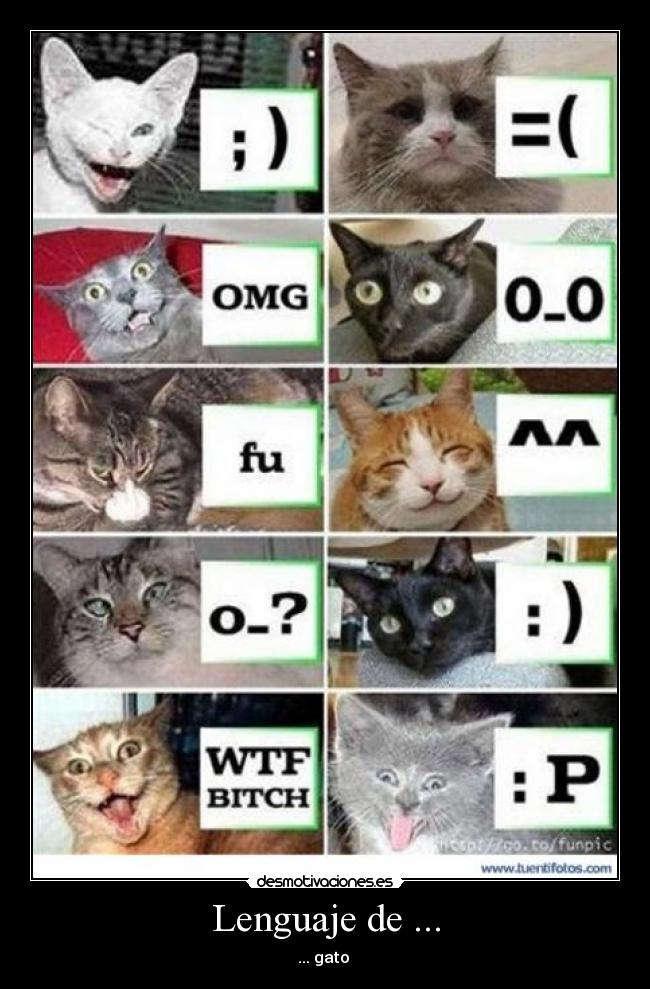 Lenguaje de ... - ... gato 