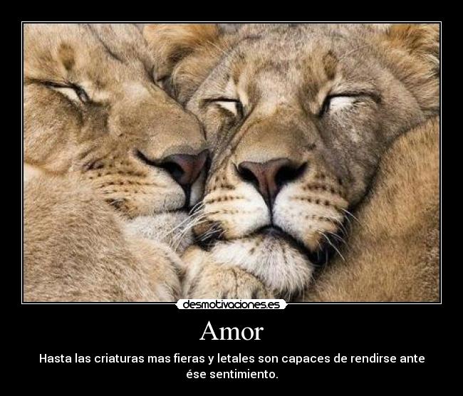 Amor - Hasta las criaturas mas fieras y letales son capaces de rendirse ante ése sentimiento.