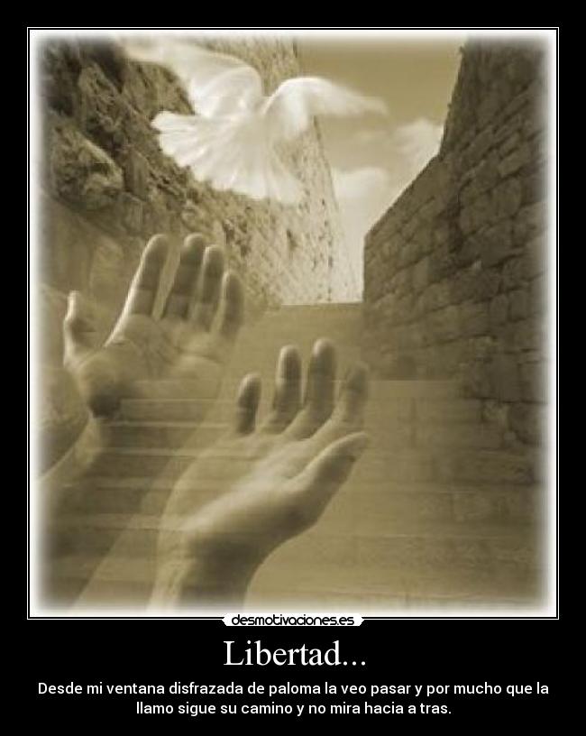 Libertad... - Desde mi ventana disfrazada de paloma la veo pasar y por mucho que la
llamo sigue su camino y no mira hacia a tras.
