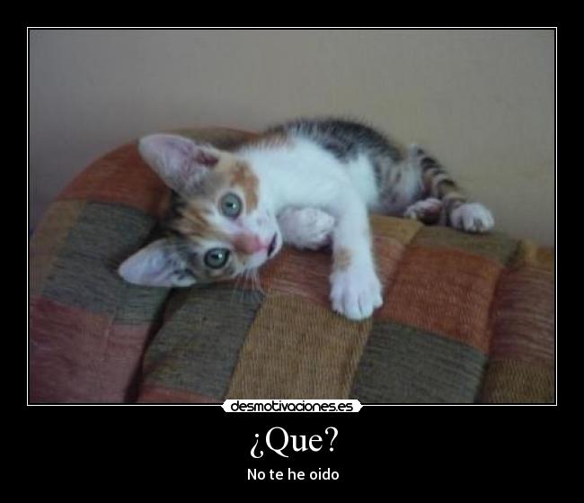 ¿Que? - 