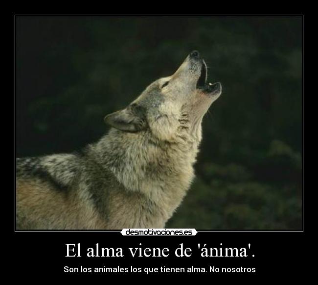 El alma viene de ánima. - Son los animales los que tienen alma. No nosotros