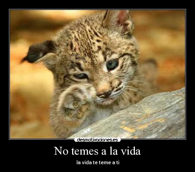 No temes a la vida - 