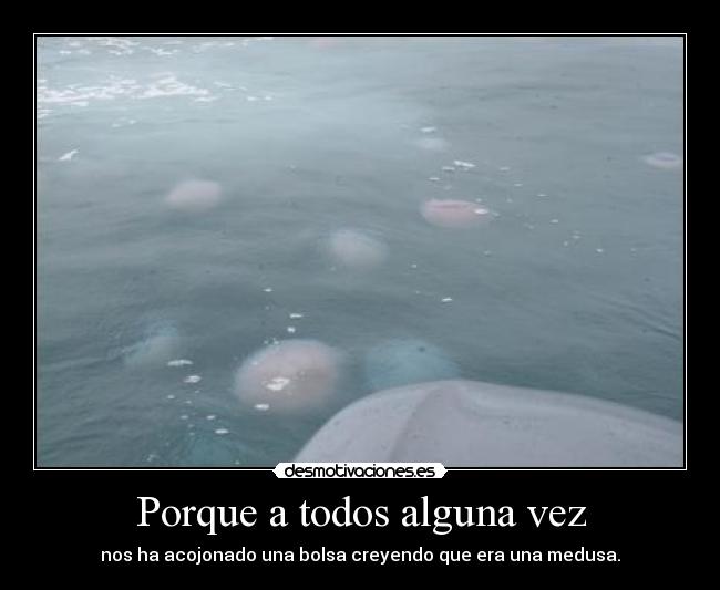 Porque a todos alguna vez - 