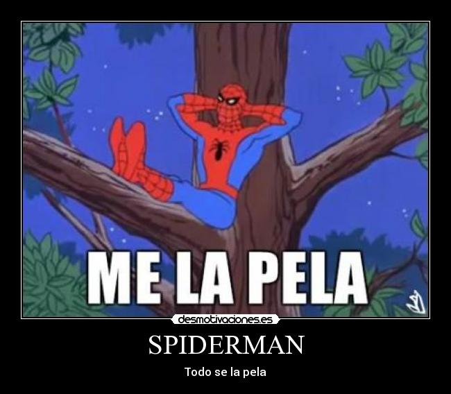 SPIDERMAN - Todo se la pela