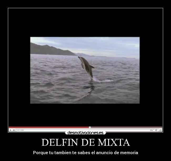 DELFIN DE MIXTA - Porque tu tambien te sabes el anuncio de memoria