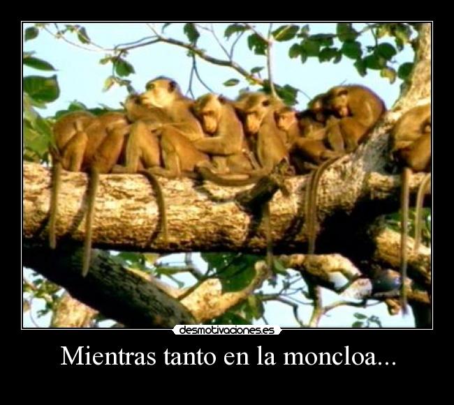 Mientras tanto en la moncloa... -