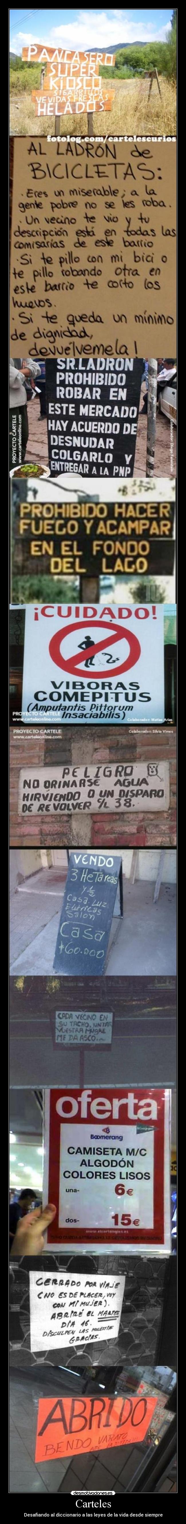 Carteles -