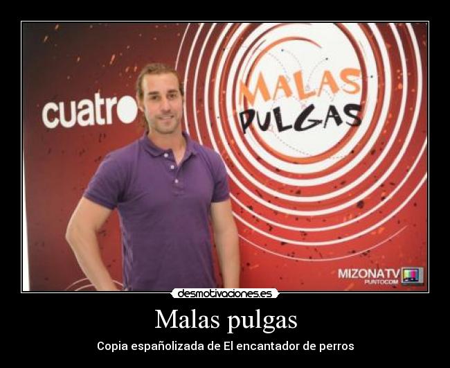 Malas pulgas -