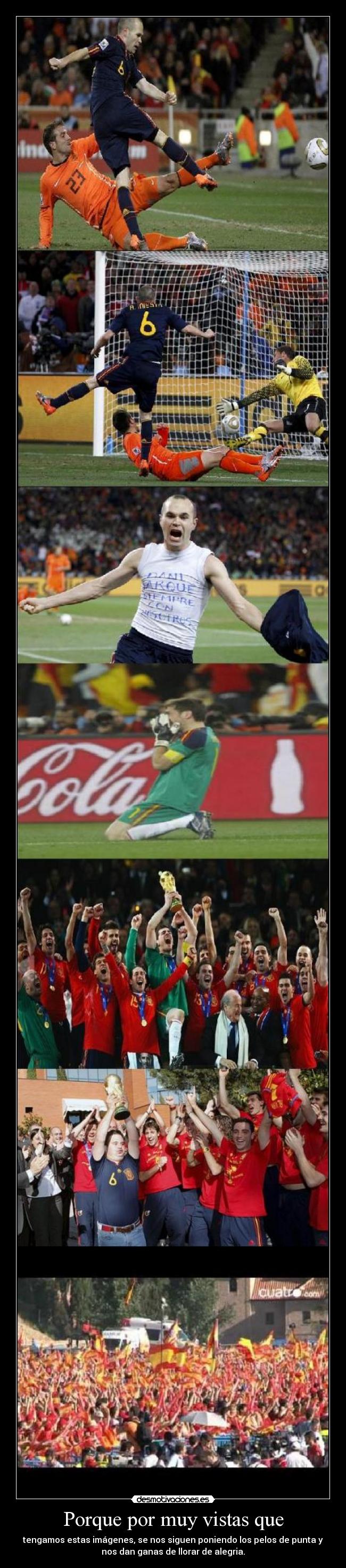 carteles mundial espana roja campeones pelos punta llorar alegria desmotivaciones