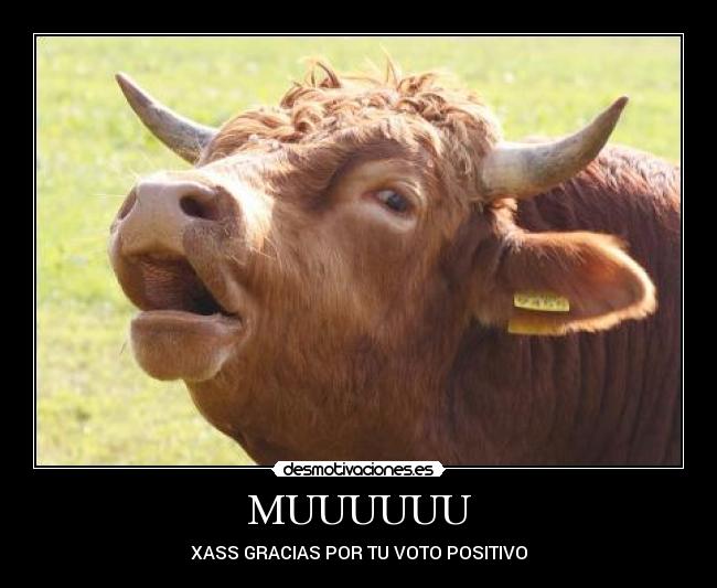MUUUUUU - 