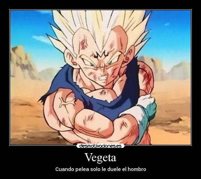Vegeta - 