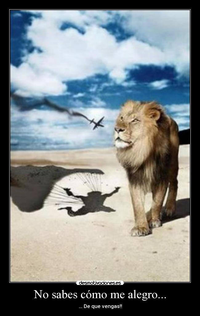 No sabes cómo me alegro... - 