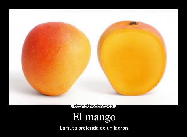 El mango - La fruta preferida de un ladron