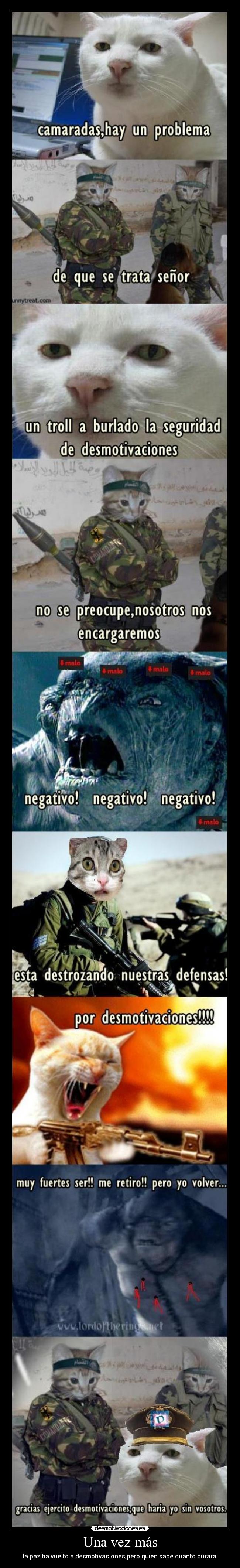 carteles desmotivaciones gatos troll desmotivaciones