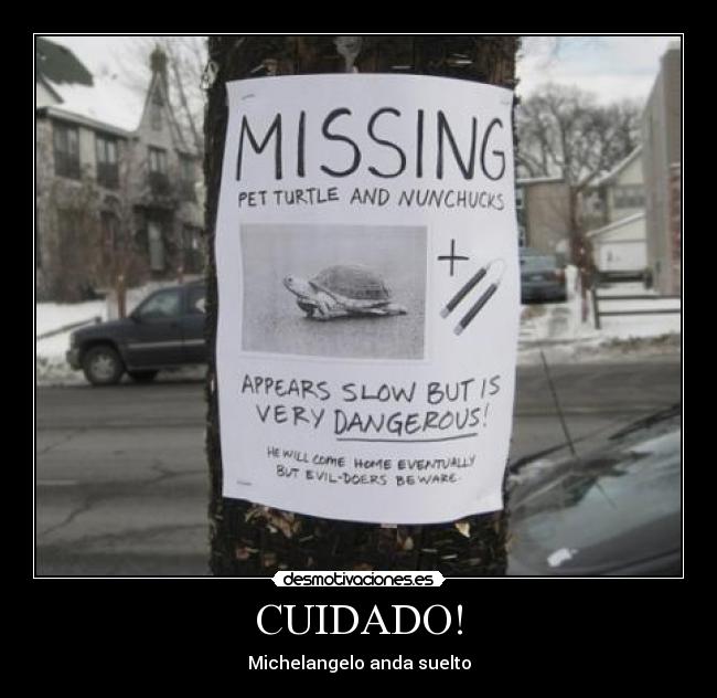 CUIDADO! - Michelangelo anda suelto