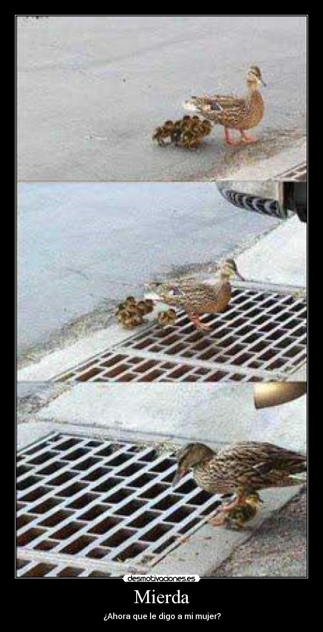 Mierda - 