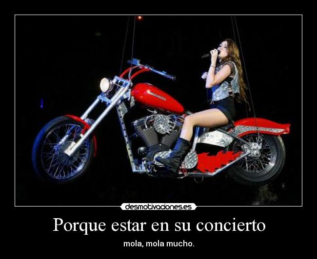 Porque estar en su concierto - mola, mola mucho.