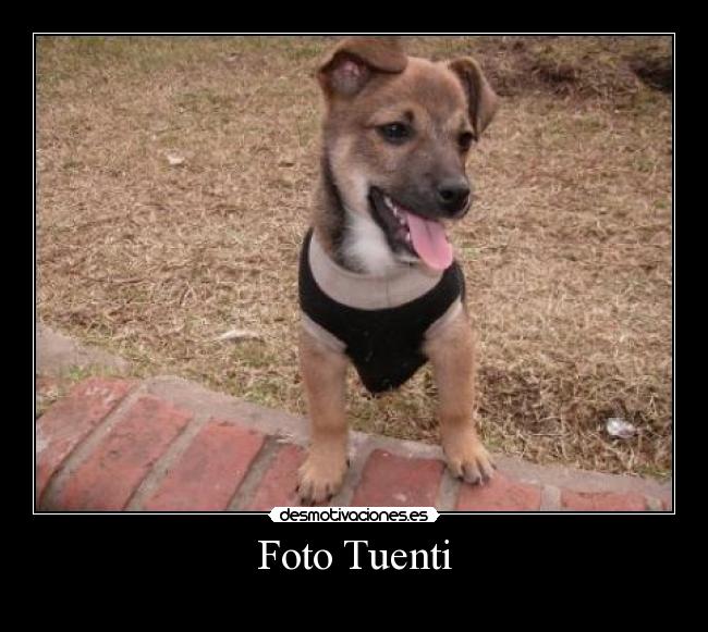 Foto Tuenti - 
