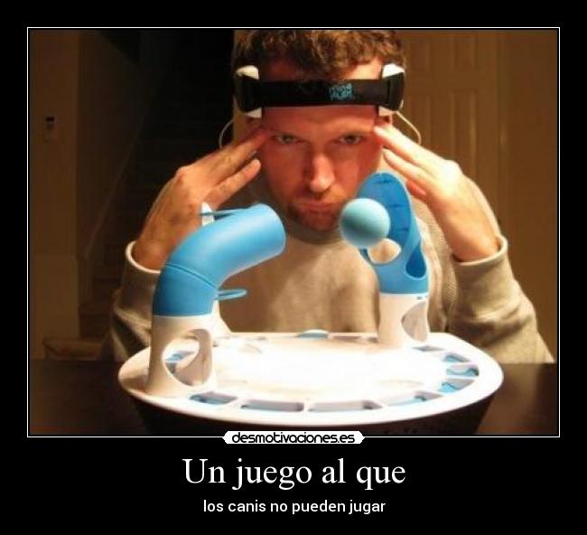 Un juego al que - los canis no pueden jugar
