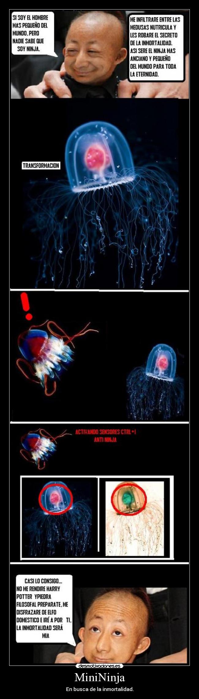 MiniNinja - En busca de la inmortalidad.