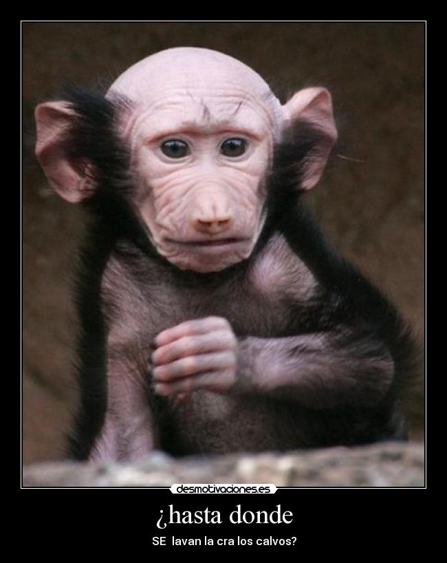 carteles calvo fail desmotivaciones