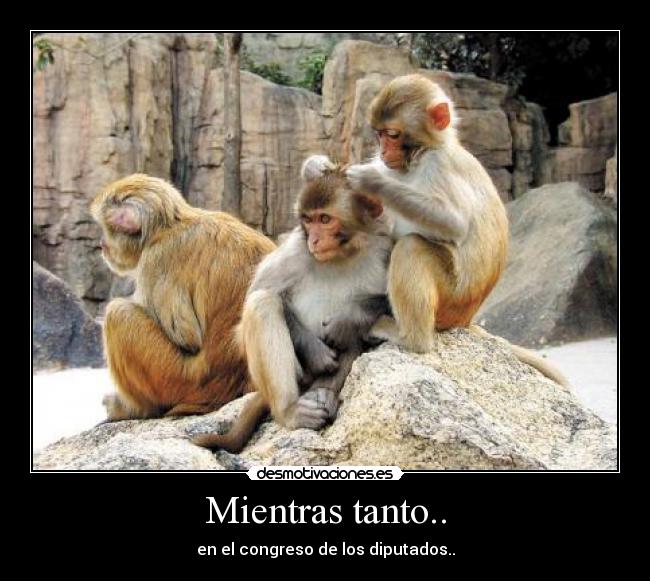 Mientras tanto.. - en el congreso de los diputados..