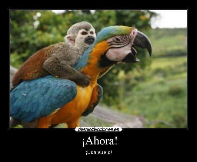 ¡Ahora! - 