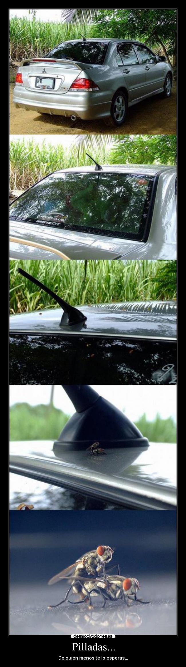 Pilladas... - De quien menos te lo esperas...