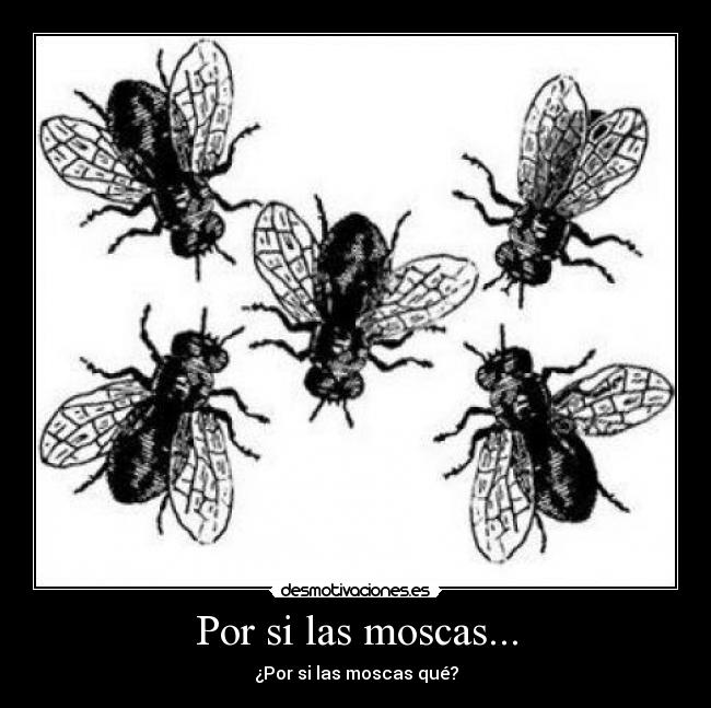 Por si las moscas... -