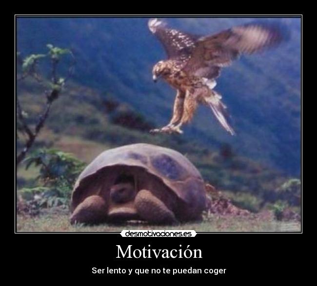 Motivación -