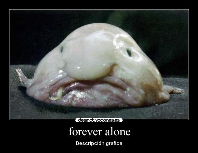 forever alone - 