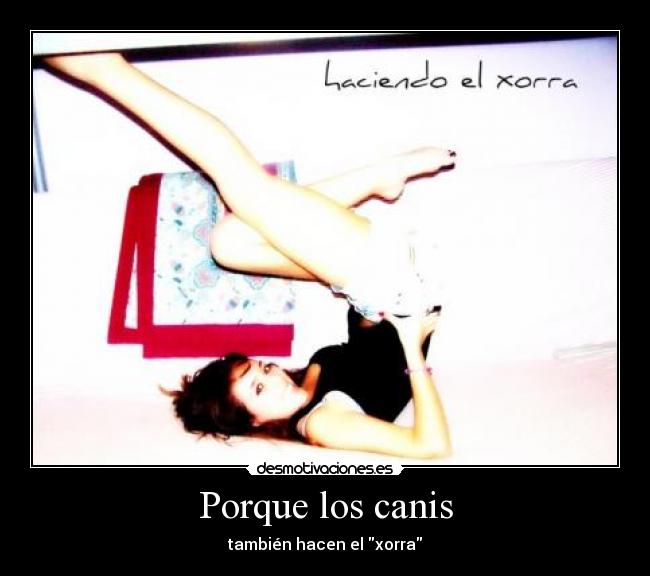 Porque los canis - también hacen el xorra