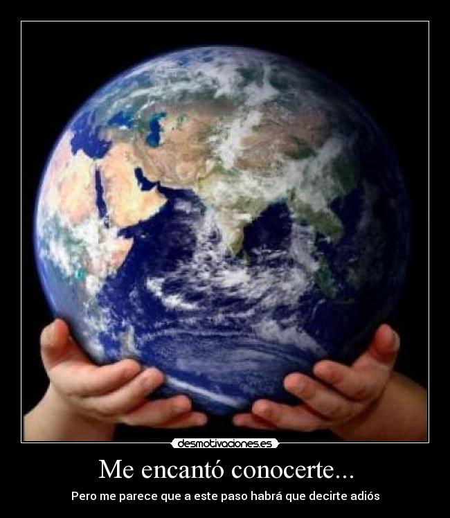 Me encantó conocerte... - 