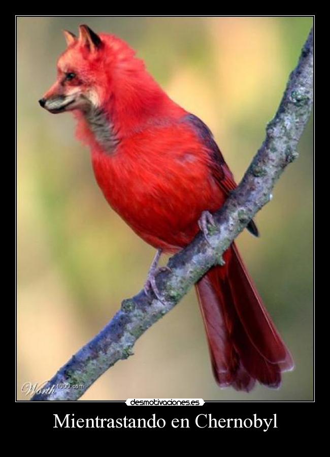 Mientrastando en Chernobyl -