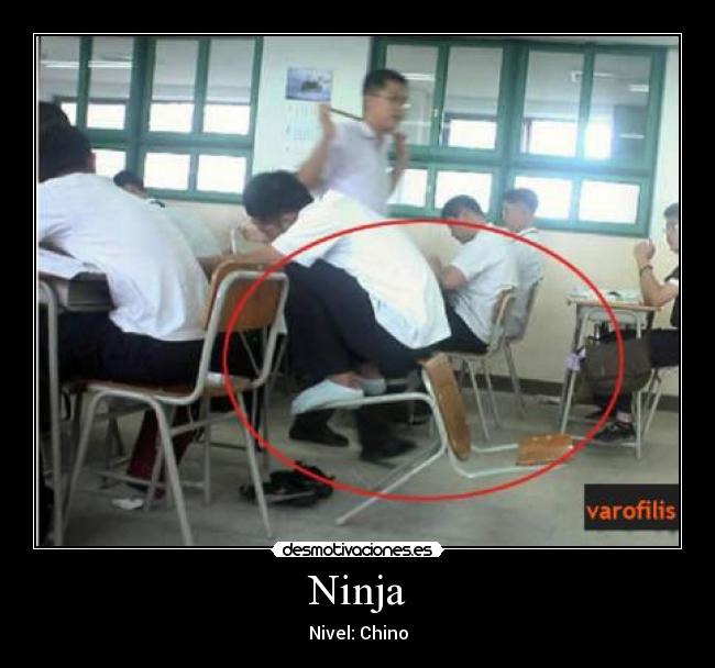 Ninja - 