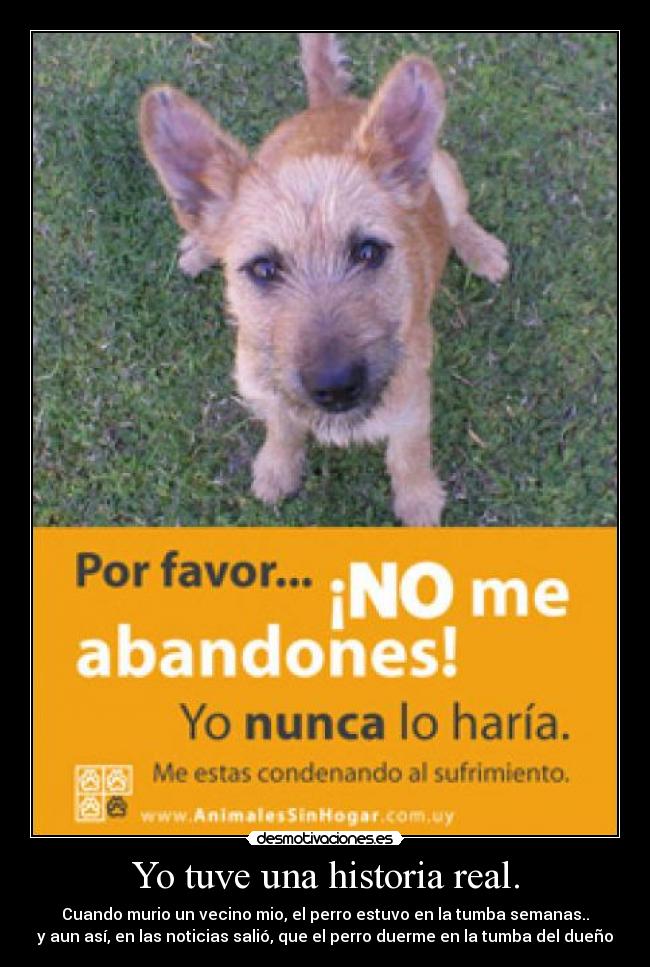 Yo tuve una historia real. - 