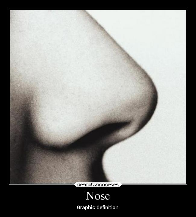Nose - Graphic definition.