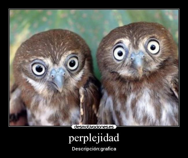 perplejidad - Descripción:grafica