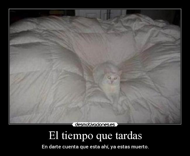 El tiempo que tardas -