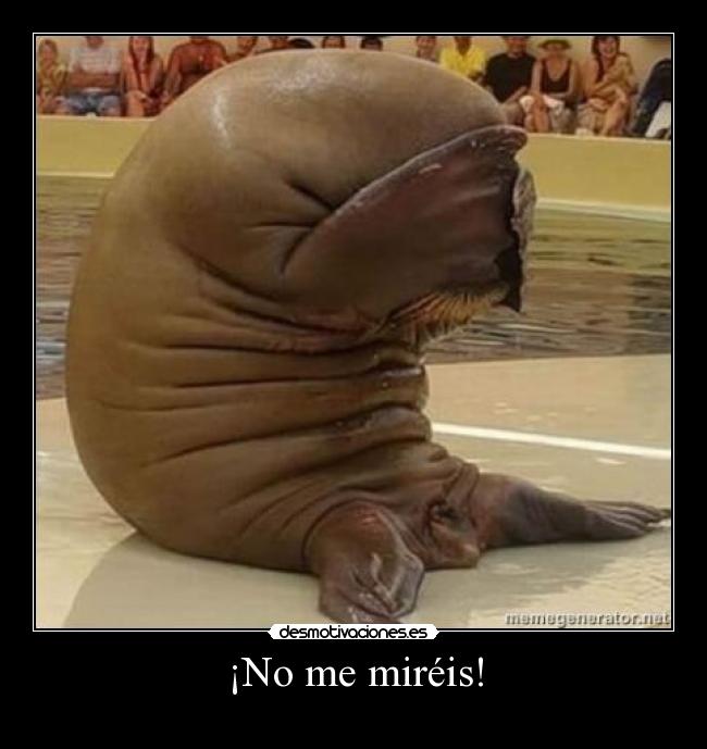 ¡No me miréis! -