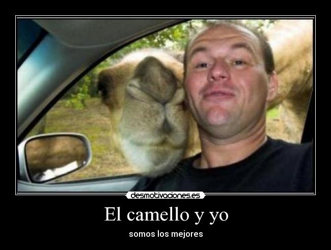 El camello y yo -