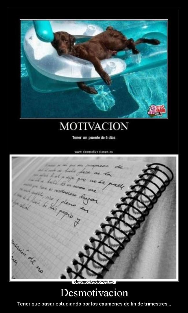 Desmotivacion - 