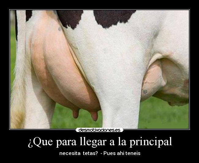 ¿Que para llegar a la principal - necesita tetas? - Pues ahi teneis