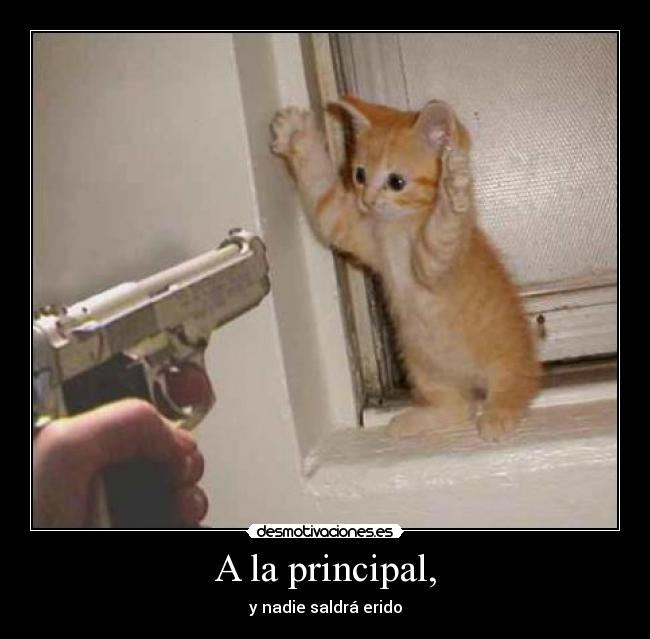 A la principal, -