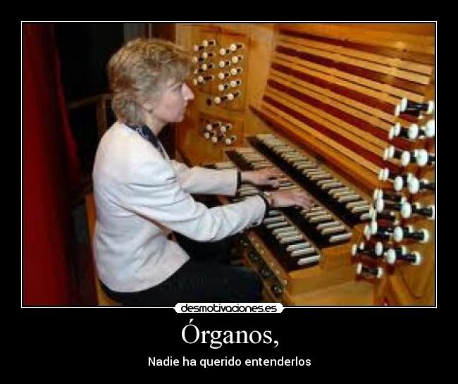 Órganos, - Nadie ha querido entenderlos