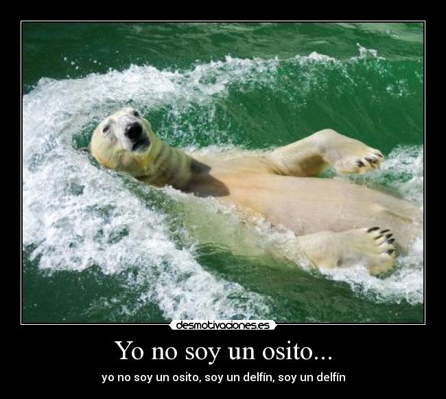 Yo no soy un osito... -