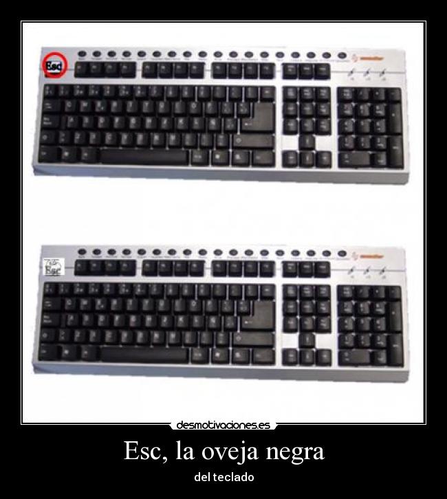 Esc, la oveja negra - del teclado