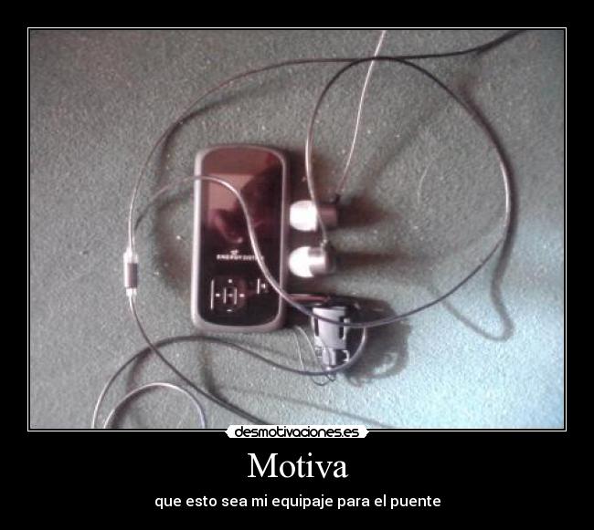 carteles solo llevo eso desmotivaciones