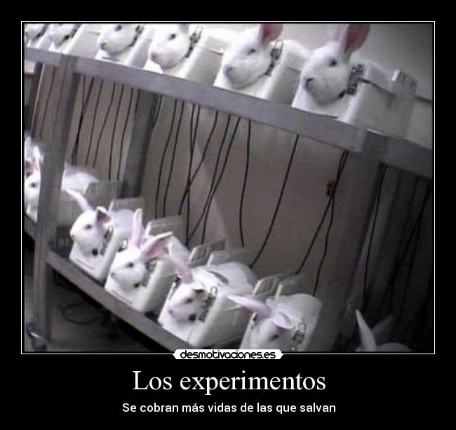 Los experimentos - Se cobran más vidas de las que salvan